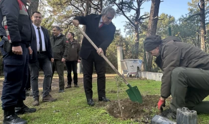 Kuşadası Kaymakamı Keklik'in bir ağacı oldu