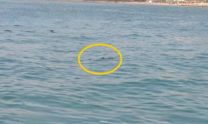 Kuşadası'nda denizde ceset bulundu!