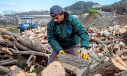 Kuşadası’nda Ağaç Atıkları İhtiyaç Sahipleri İçin Kara Kışta Yakacağa Dönüşüyor