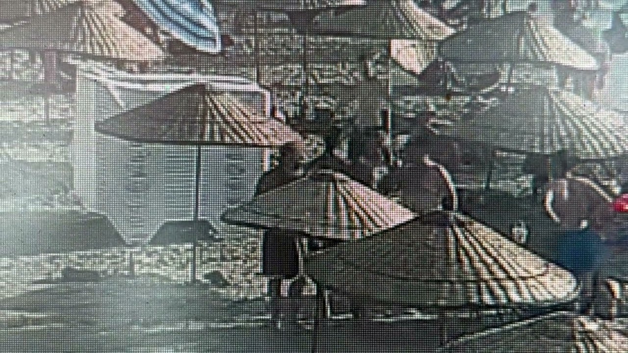 Kuşadası'nda Ada Güncel'in haberi kuyruklu yalan çıktı!